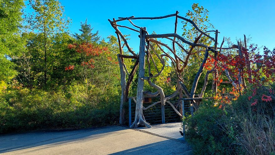 Adkins Arboretum, United States